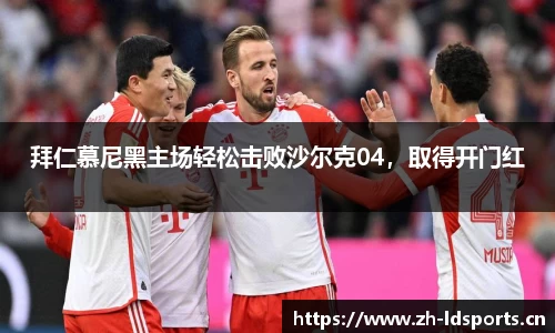 ld乐动体育