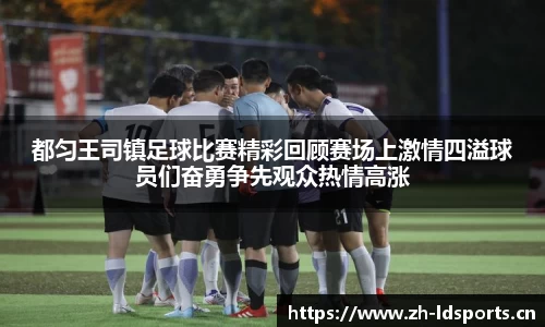 ld乐动体育