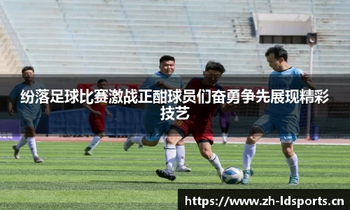 ld乐动体育官网