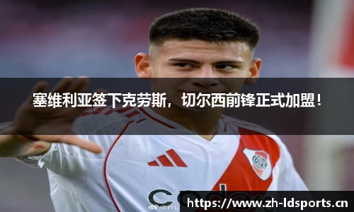ld乐动体育