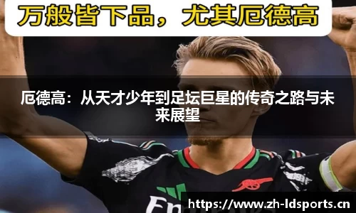 ld乐动体育平台