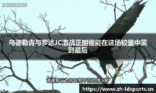 ld乐动体育平台