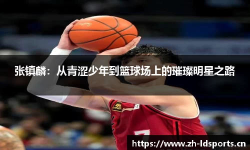 ld乐动体育平台